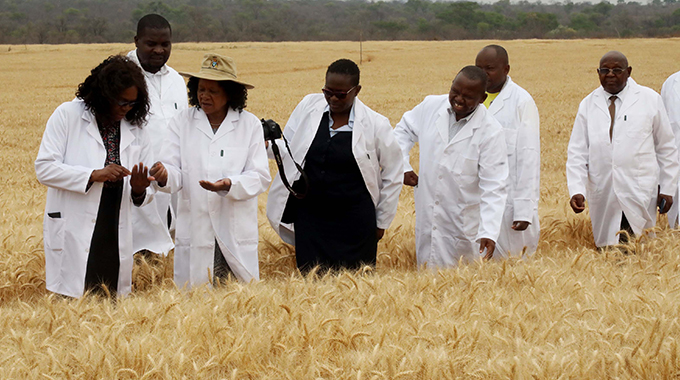 GSU SPEARHEADS RURAL INDUSTRIALISATION
